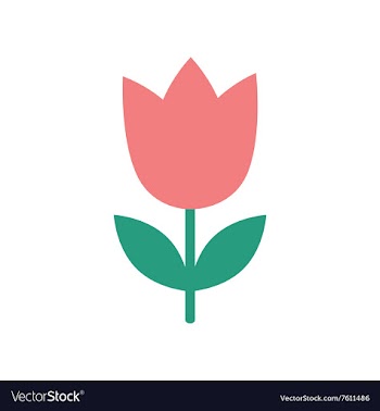 Flat icon on white background tulip blooms vector image