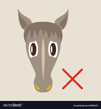 Flat icon silhouette of a horses head vector image