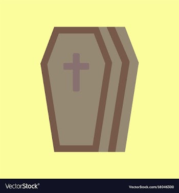 Flat icon stylish background coffin vector image