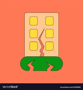 Flat icon stylish background earthquake house vector image