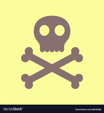 Flat icon stylish background halloween skull bones vector image