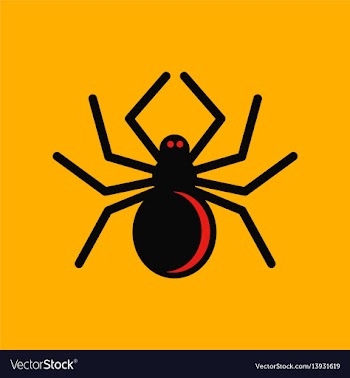 Flat icon stylish background halloween spider vector image