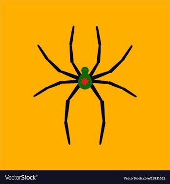 Flat icon stylish background halloween spider vector image