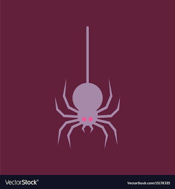 Flat icon stylish background halloween spider vector image