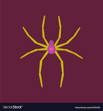 Flat icon stylish background halloween spider vector image