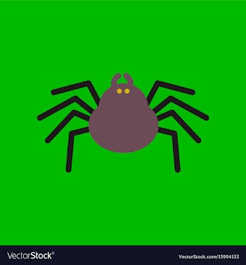 Flat icon stylish background halloween spider vector image