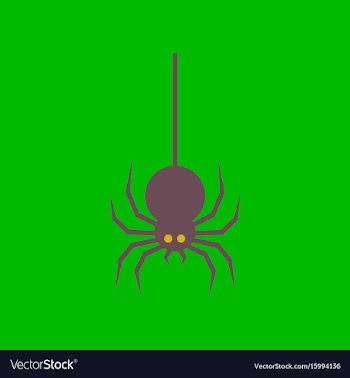 Flat icon stylish background halloween spider vector image