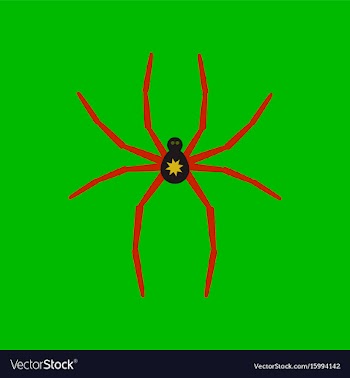 Flat icon stylish background halloween spider vector image