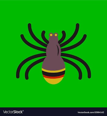 Flat icon stylish background halloween spider vector image