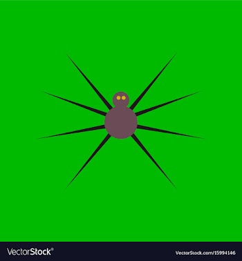 Flat icon stylish background halloween spider vector image