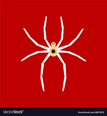 Flat icon stylish background halloween spider vector image
