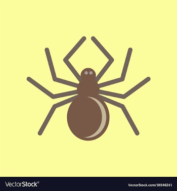 Flat icon stylish background halloween spider vector image
