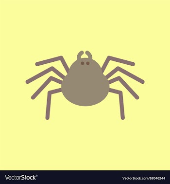 Flat icon stylish background halloween spider vector image