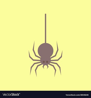 Flat icon stylish background halloween spider vector image