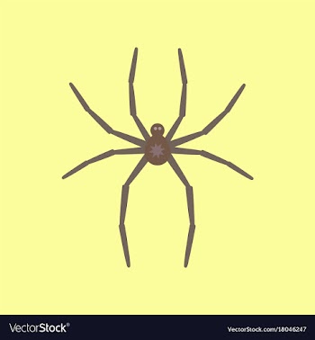 Flat icon stylish background halloween spider vector image