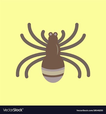 Flat icon stylish background halloween spider vector image