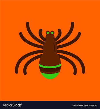 Flat icon stylish background halloween spider vector image