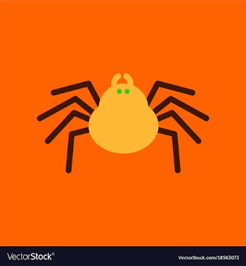 Flat icon stylish background halloween spider vector image