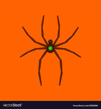 Flat icon stylish background halloween spider vector image