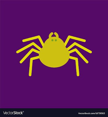 Flat icon stylish background halloween spider vector image