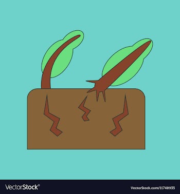Flat icon stylish background natural disaster vector image