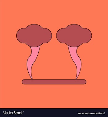 Flat icon stylish background natural disaster vector image