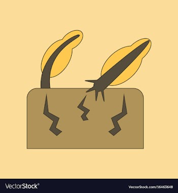 Flat icon stylish background natural disaster vector image