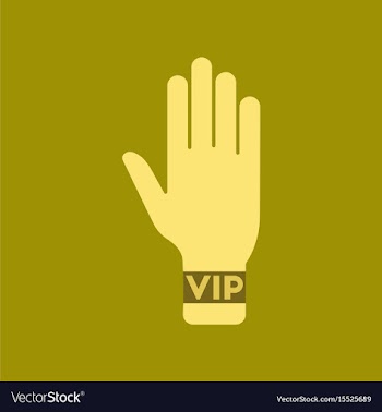 Flat icon stylish background poker hand vip vector image