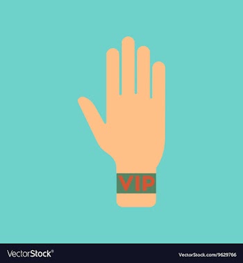 Flat icon stylish background poker hand VIP vector image