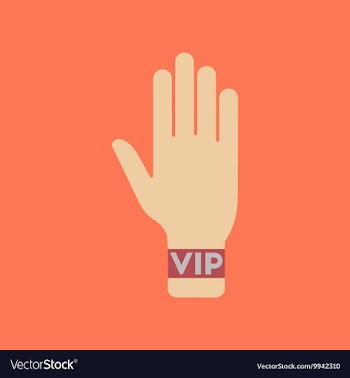 Flat icon stylish background poker hand VIP vector image