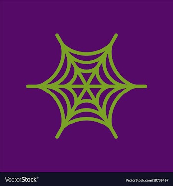 Flat icon stylish background spiders web vector image