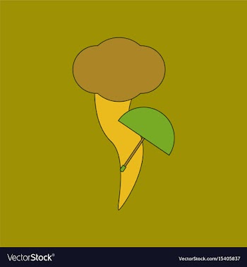 Flat icon stylish background tornado umbrella vector image
