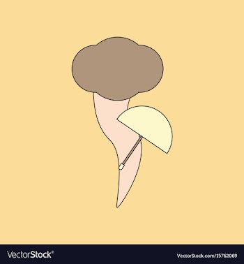 Flat icon stylish background tornado umbrella vector image