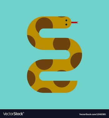 Flat icon stylish background wildlife snake vector image