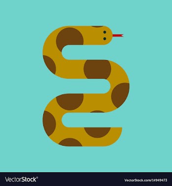 Flat icon stylish background wildlife snake vector image