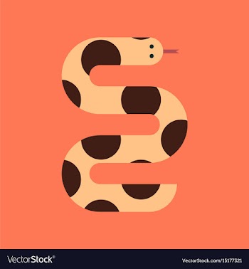 Flat icon stylish background wildlife snake vector image