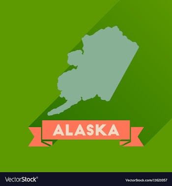 Flat icon with long shadow Alaska map vector image