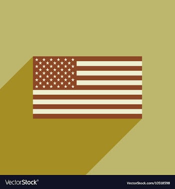 Flat icon with long shadow American flag vector image