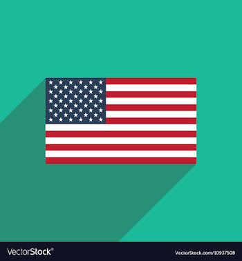 Flat icon with long shadow American flag vector image