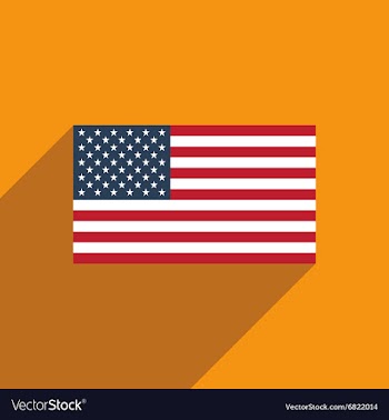 Flat icon with long shadow American flag vector image