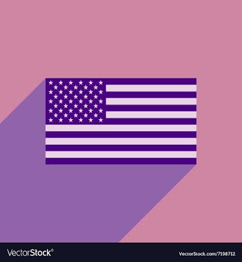 Flat icon with long shadow American flag vector image