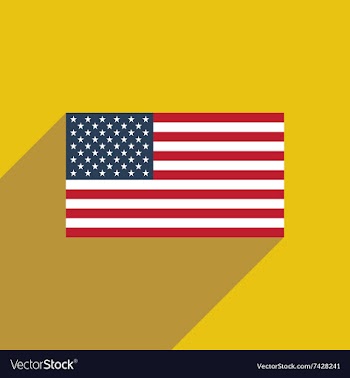 Flat icon with long shadow American flag vector image