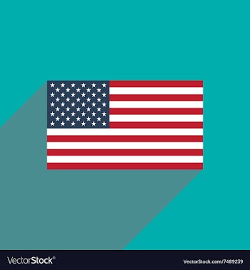 Flat icon with long shadow American flag vector image