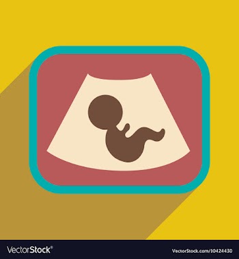 Flat icon with long shadow baby on ultrasound vector image