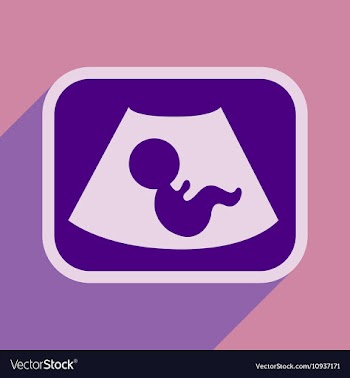 Flat icon with long shadow baby on ultrasound vector image