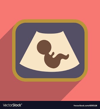 Flat icon with long shadow baby on ultrasound vector image