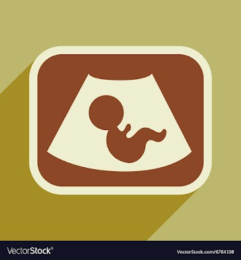 Flat icon with long shadow baby on ultrasound vector image