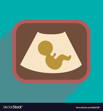 Flat icon with long shadow baby on ultrasound vector image