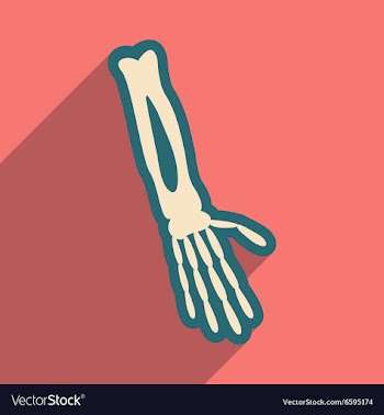 Flat icon with long shadow bones of human hand vector image