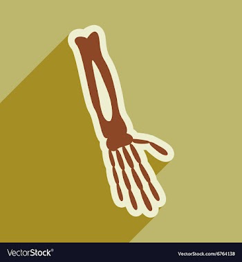 Flat icon with long shadow bones of human hand vector image
